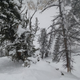 Illustration for article titled 18/19 Ski Blog (Post #7) -em/em Solitude and Alta, UT